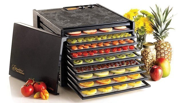'Top Reasons to buy a Food Dehydrator in 2020 | Make Your Life EASIER!'