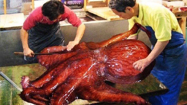 'Incredible Giant Octopus Fishing - How Japan Chef Cutting Giant Octopus And Octopus Processing'