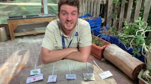 'Habitats and food chains- Outdoor Learning'