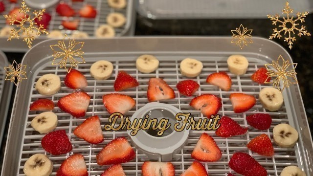 'DIY Dried Fruit Using Dehydrator'
