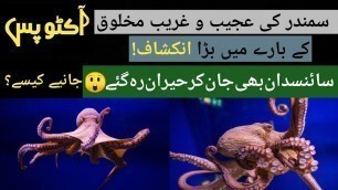 'Discovery of strange sea creature octopus || Octopuses taste food with their arms || Short videos ||'