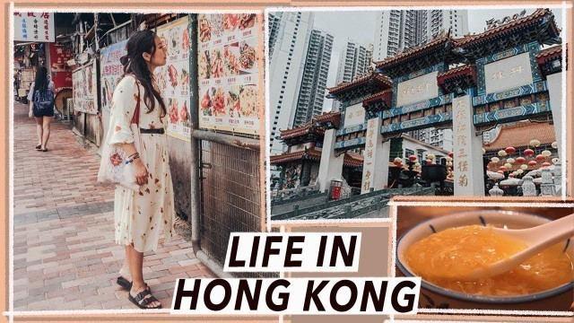 'Life in Hong Kong: Desserts, Fortune-Tellers & Temple Street Food | HK Travel Vlog'