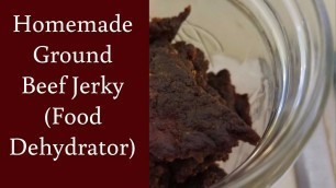 'EASY Homemade Ground Beef Jerky in a Food Dehydrator'