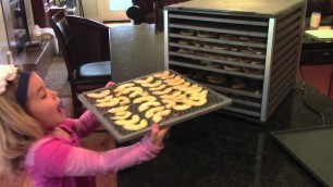 'How to make dried Apple Chips - Lem 10 Tray Dehydrator dehydrate Apples'