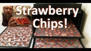 'How To Make Strawberry Chips in a Food Dehydrator'