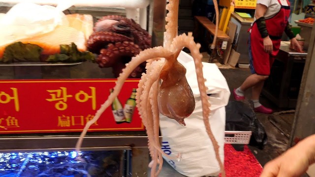 'live octopus cooking - sannakji / korean street food'