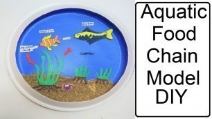 'aquatic food chain for science projects | DIY at home | craftpiller'