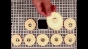'How To Make Dried Apple - 5mm - Himmel Food Dehydrator V3'