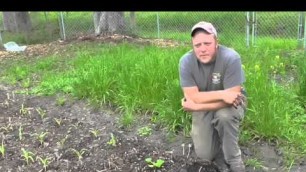 'Brian Discusses the Soil Food Web at Between The Oaks Farm - Kingwood Texas'