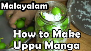 'How to make Uppu Manga || Manga Uppilittathu | ഉപ്പ് മാങ്ങാ||   I Love My Kerala Food'