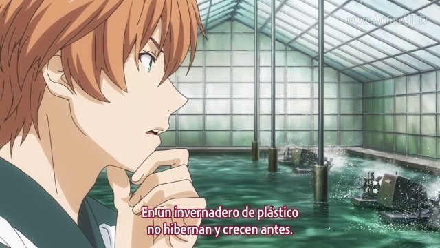 'Isshiki se la jura al Octavo Consejero de Central - Shokugeki no Soma T4 Cap 10'