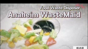 'Anaheim WasteMaid – Food Waste Disposer'