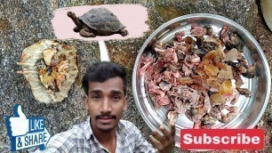 'Tortoise cutting || turtle cutting || thabelu cutting Telugu ||'