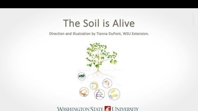 'The Soil is Alive'