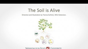 'The Soil is Alive'