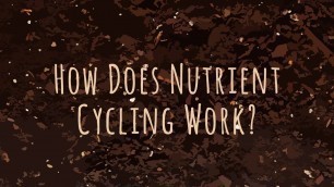 'Nutrient Cycling | Soil Food Web School'