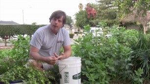 'The Naked Garden: SoilFoodWeb Compost Extraction'