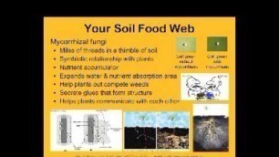'Exploring the Mysteries of Soil Biology'