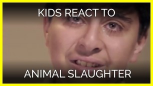 'Kids React to Animal Slaughter'
