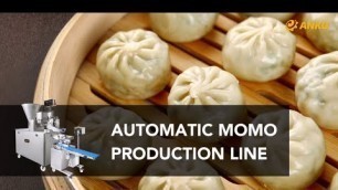 'ANKO Automatic Momo Production Line'