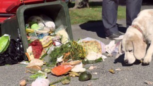'InSinkErator - Food Waste Disposer 30\" TV Commercial'
