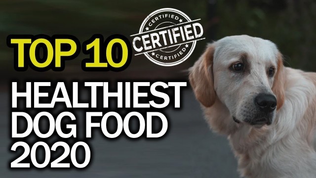 'Best Healthy Dog Food (Top 10 in 2020) Natural Grain Free Healthiest Dog Food Brands'