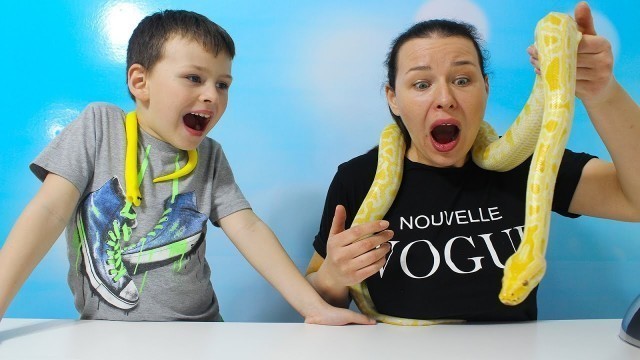 'Gerçek yemek Jelibon yemeğe karşı PİTON yılan Gummy vs real food CHALLENGE'
