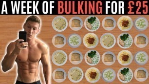 'A WEEK OF BULKING FOR £25 | Meal Prep on a Budget'