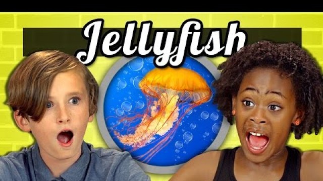 'KIDS vs. FOOD #18 - JELLYFISH'