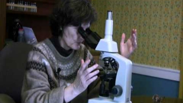 'MICROSCOPE SET-UP (part 2) - INTRODUCTION TO SOIL MICROBIOLOGY by Dr. Elaine Ingham'
