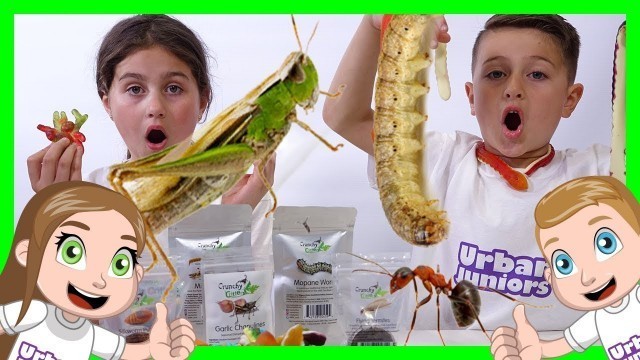 'Gummy vs Real insects Sis vs Bro (Kids react to eating real bugs)'