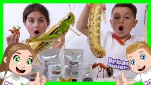 'Gummy vs Real insects Sis vs Bro (Kids react to eating real bugs)'