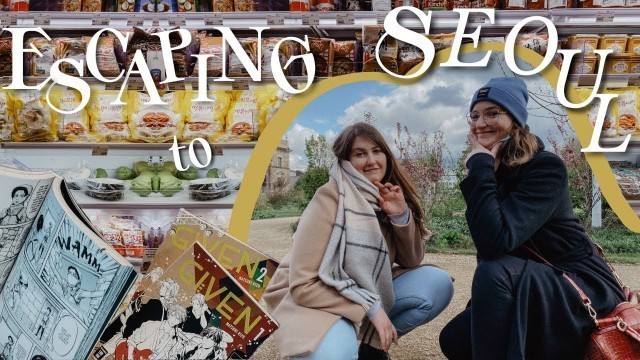 'studio vlog | korean food haul, manga shopping & plotting a book series!'