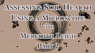 'Assessing Soil Health Using a Microscope with Meredith Leigh Part 2'
