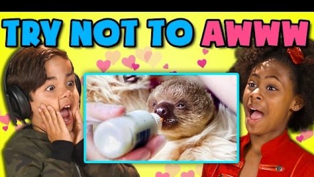 'KIDS REACT TO TRY NOT TO AWWW CHALLENGE'