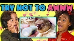 'KIDS REACT TO TRY NOT TO AWWW CHALLENGE'
