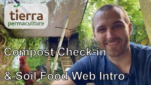 'Compost Check-in and Soil Food Web Intro | Tropical Permaculture Homestead'