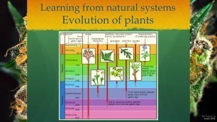 'Regenerative, Sustainable Cultivation Systems & Soil Building'