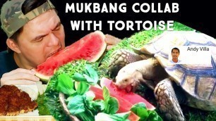'ASMR | Mukbang Collab with African Sulcata Tortoise | Tortoise Eating Fruit & Vegetable |EATING SHOW'