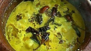 'Chakkakuru Manga Curry (Jackfruit seed and Raw Mango curry)- chinnuz\' I Love My Kerala Food'