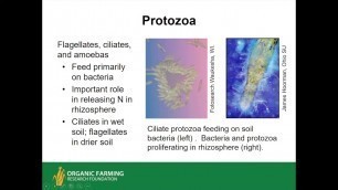 'Understanding and Managing Soil Biology for Soil Health and Crop Production'