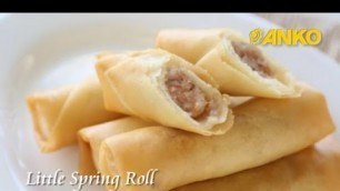 'How To Make Little Spring roll By ANKO Food Machine'