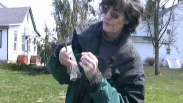 'HOW TO TAKE A SOIL SAMPLE-   INTRODUCTION TO SOIL MICROBIOLOGY by Dr. Elaine Ingham'