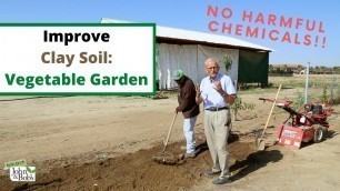 'How To Amend Clay Soil for Vegetable Garden (NO HARMFUL CHEMICALS!)'