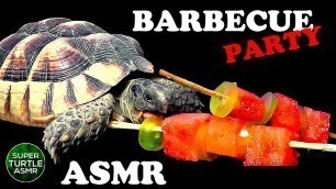 'Tortoise Eating Melon ASMR Turtle 