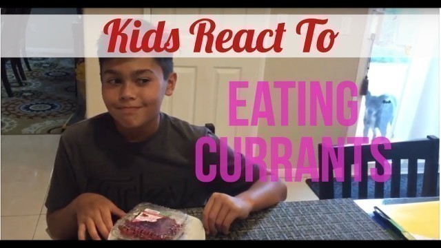 'Kids React to Eating Currants'