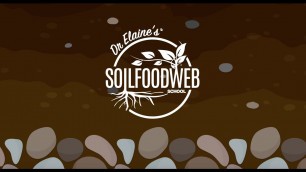 'Soil Food Web Coupon -  Save 1600 on Dr  Elaine\'s Courses'