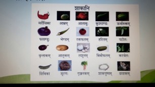 'Healthy food items name in Sanskrit | Prachi Sharma'