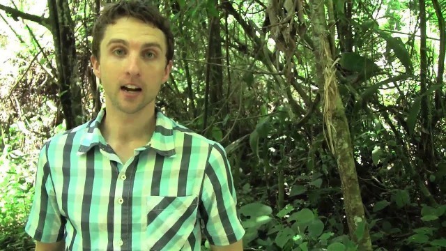 'Amazon Jungle Lesson 3 Of 3 - The Soil Food Web'