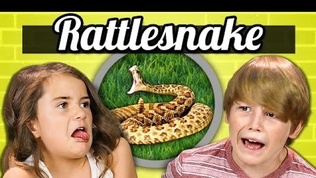 'KIDS vs. FOOD - RATTLESNAKE'